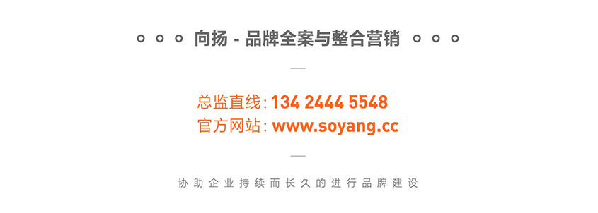向揚(yáng)品牌策劃.jpg